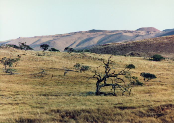 The Kohala Mountains are an example of an extinct volcano