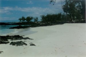 Makalawena Beach is an incredibly white sand beach trees